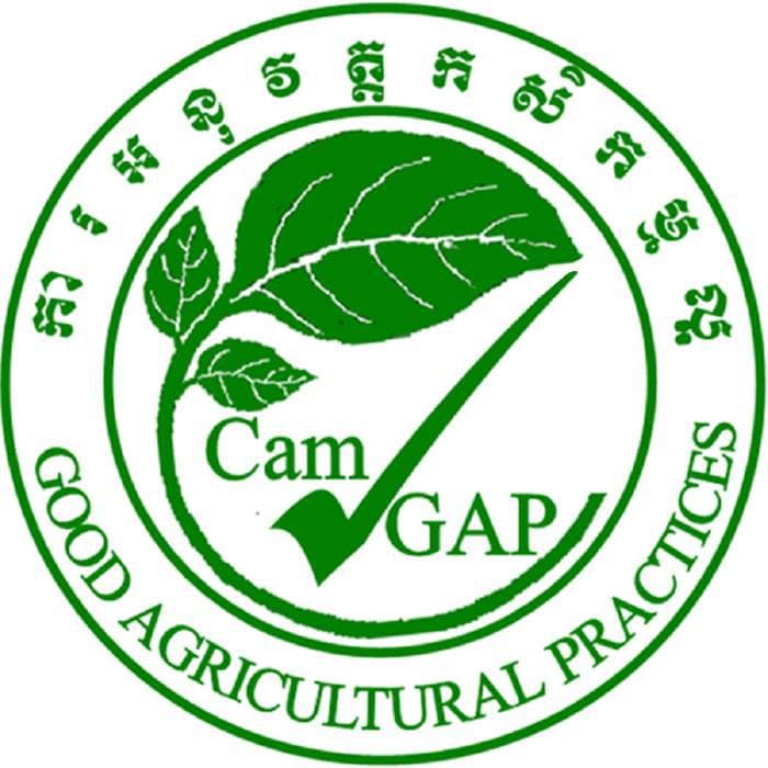 our partner